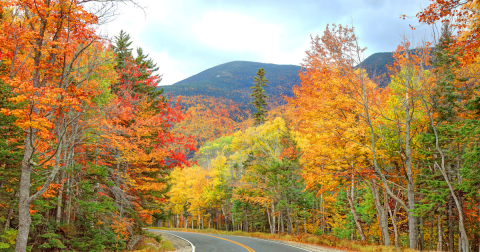 Here Are The Best Times And Places To View Maine's Fall Foliage In 2023