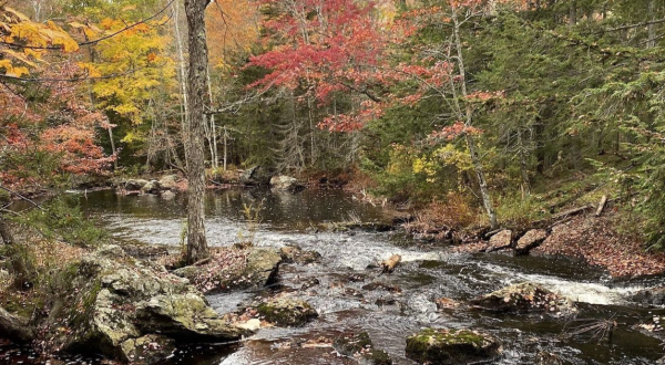 The 1.4-Mile Patten Stream Trail Might Just Be The Most Enchanting Hike In Maine