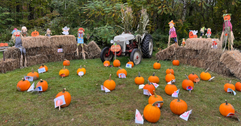 You Won't Want To Miss The Upcoming Halloween Weekends At New Hampshire's Most Lovable Family Campground