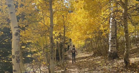 This Little-Known Scenic Spot In Idaho That Comes Alive With Color Come Fall