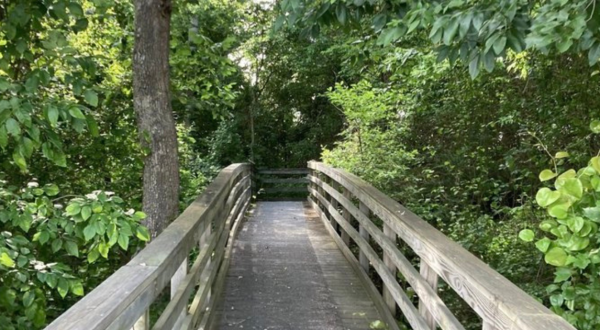 Enjoy An Unexpectedly Magical Hike On This Little-Known Trail In Virginia