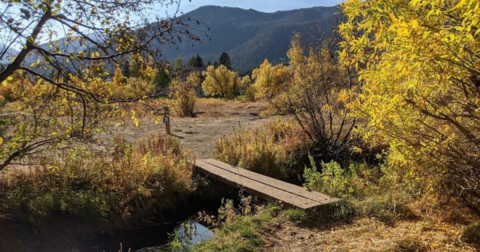The Underrated Park Where You Can View The Best Fall Foliage In Northern California