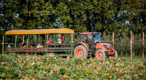 One Of The Largest Pumpkin Patches In Kentucky Is A Must-Visit Day Trip This Fall