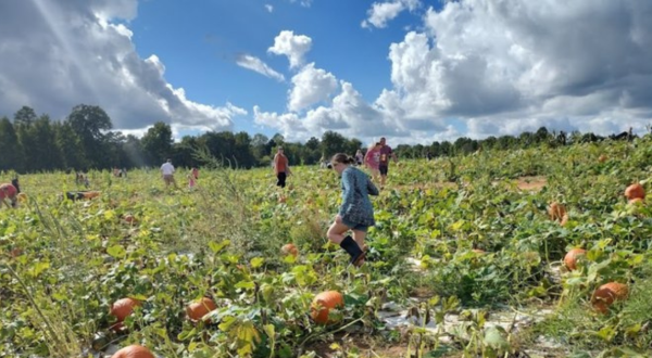 One Of The Largest Pumpkin Patches In South Carolina Is A Must-Visit Day Trip This Fall
