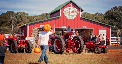 The 6 Best Fall Festivals In South Carolina For 2023 Will Put You In The Autumnal Spirit