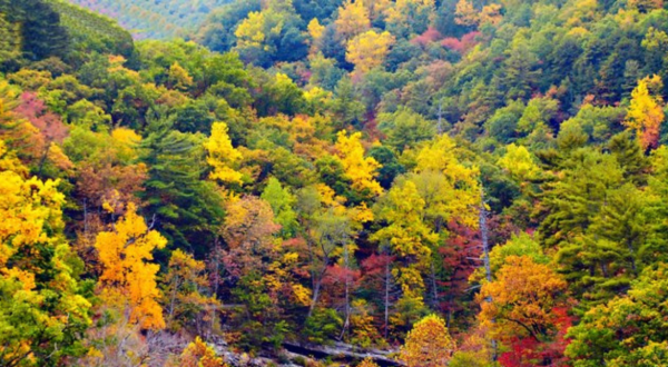 The Train Ride Through The Virginia Countryside That Shows Off Fall Foliage