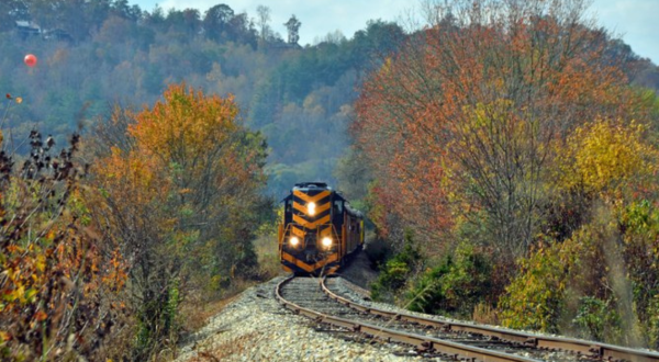 Here Are The 9 Absolute Best Fall Adventures In North Carolina’s Great Smoky Mountains