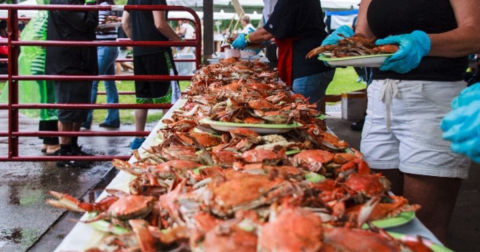 Time To Get Cracking At The Annual Blue Crab Festival In Virginia This Month