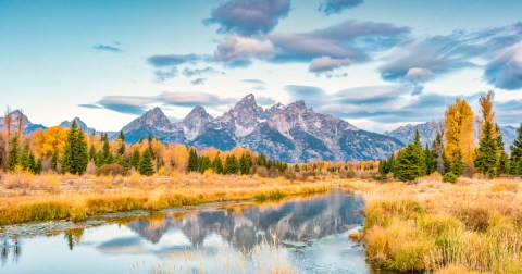 Here Are The Best Times And Places To View Wyoming's Fall Foliage In 2023