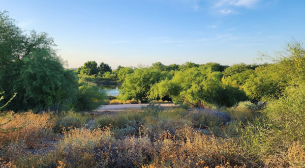 The Easy Trail That Might As Well Be The Lake Capital Of Arizona