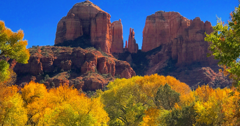 Here Are The Best Times And Places To View Arizona's Fall Foliage In 2023