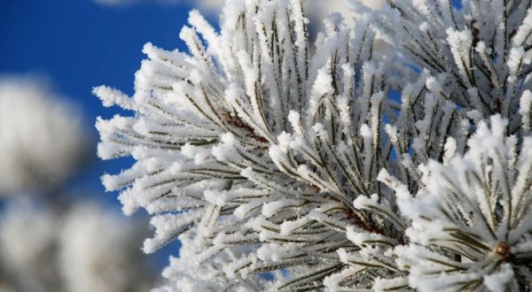 You Might Be Surprised To Hear The Predictions About North Dakota’s Damp And Cold Upcoming Winter