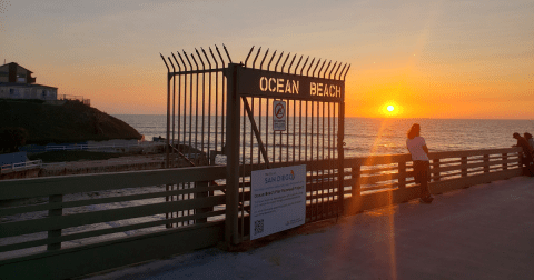 The Last Bastion Of San Diego’s Bohemian Charm Is Found In Southern California's Ocean Beach