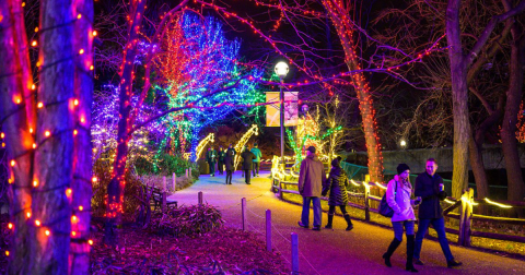 Your Ultimate Guide To Winter Attractions And Activities In Illinois