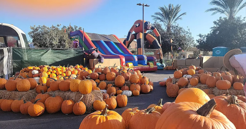 Here Are The 7 Absolute Best Pumpkin Patches In Nevada To Enjoy In 2023