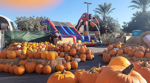 Here Are The 7 Absolute Best Pumpkin Patches In Nevada To Enjoy In 2023