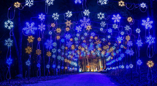 Your Ultimate Guide To Winter Attractions And Activities In Missouri