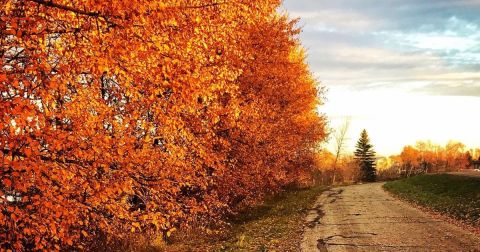 The Small Town In North Dakota That Comes Alive In The Fall Season