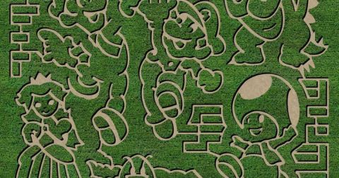 Get Lost In This Awesome 16-Acre Corn Maze In Indiana This Autumn