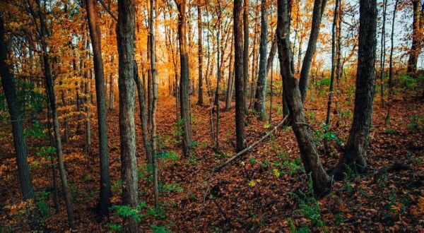 This Little-Known Scenic Spot In Indiana That Comes Alive With Color Come Fall