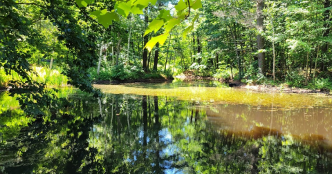 Before Word Gets Out, Visit Maine's Newest Urban Park