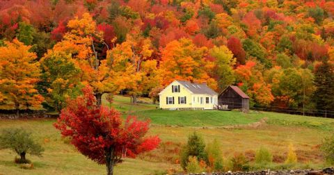 Here Are The Best Times And Places To View Vermont's Fall Foliage In 2023