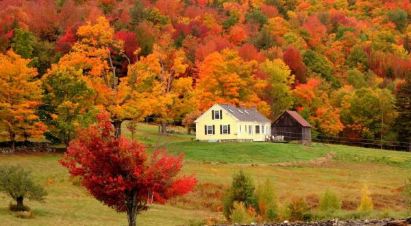Here Are The Best Times And Places To View Vermont’s Fall Foliage In 2023