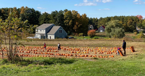 The Largest Pumpkin Patch In Maine Is A Must-Visit Day Trip This Fall