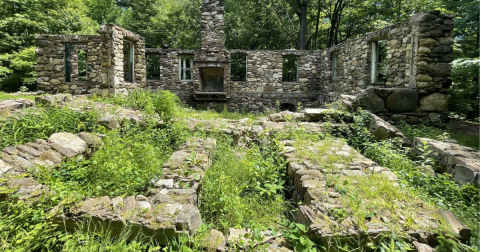 The 3.1-Mile Spiderweed Preserve Trail Might Just Be The Most Enchanting Hike In Connecticut