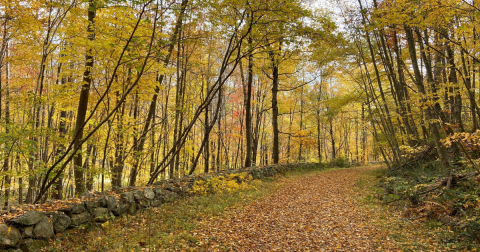The 6.8-Mile Macedonia Brook State Park Loop Trail Leads Hikers To The Most Spectacular Fall Foliage In Connecticut