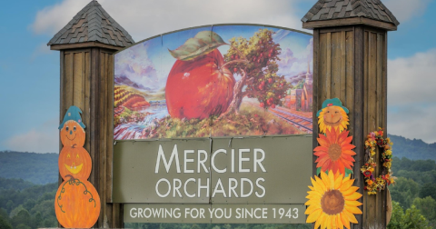 Mercier Orchards’ New Homemade Hard Cider Flights Make For The Perfect Georgia Outing For Adults