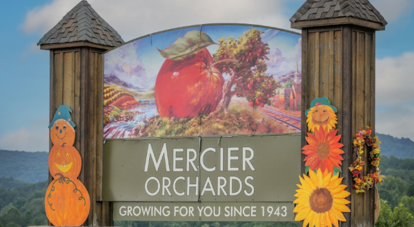 Mercier Orchards’ New Homemade Hard Cider Flights Make For The Perfect Georgia Outing For Adults