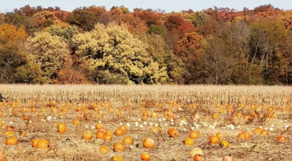 The Charming Small Town In Kansas That’s Perfect For A Fall Day Trip