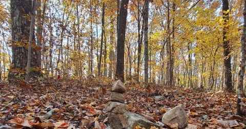 This Little-Known Scenic Spot In Georgia That Comes Alive With Color Come Fall