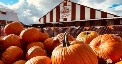 One Of The Largest Pumpkin Patches In Oregon Is A Must-Visit Day Trip This Fall