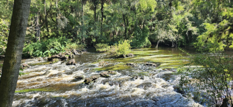 The Easy Trail That Might As Well Be The River Rapids Capital Of Florida