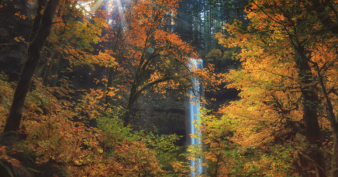 This Little-Known Scenic Spot In Oregon Comes Alive With Color Come Fall