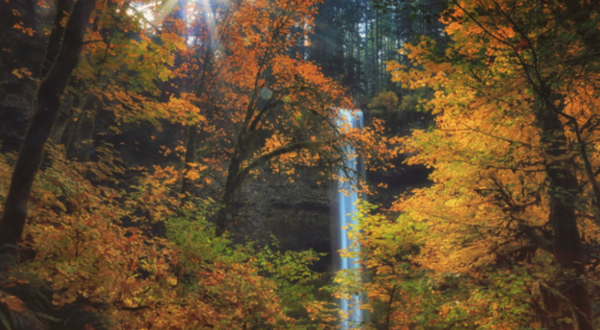 This Little-Known Scenic Spot In Oregon Comes Alive With Color Come Fall