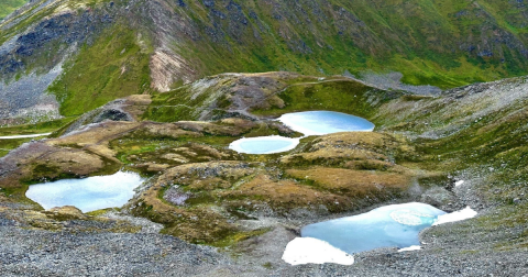 The 2-Mile April Bowl Trail Might Just Be The Most Enchanting Hike In Alaska