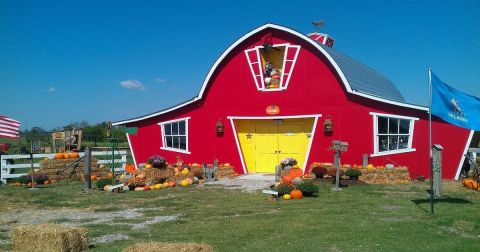 Here Are The 7 Absolute Best Pumpkin Patches In Oklahoma To Enjoy In 2023