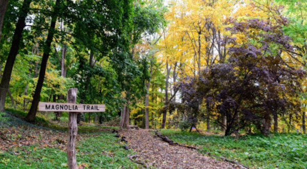 Explore A Little-Known Arboretum Near This Massachusetts College Campus