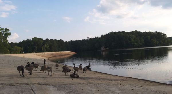 The Easy Trail That Might As Well Be The Bird Capital Of North Carolina