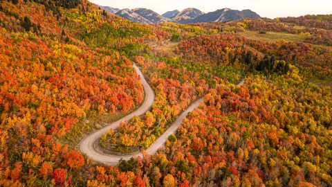 Here Are The Best Times And Places To View Utah's Fall Foliage In 2023