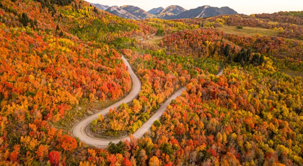 Here Are The Best Times And Places To View Utah’s Fall Foliage In 2023
