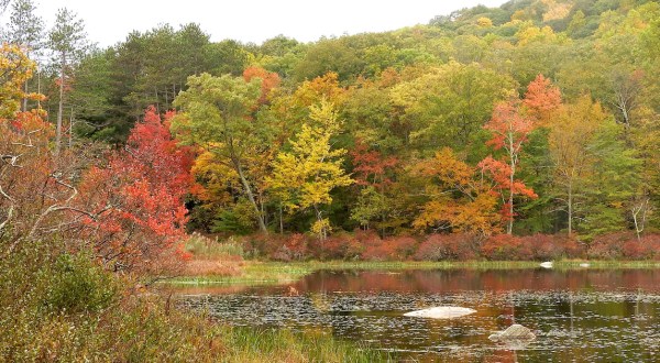 Here Are The Best Times And Places To View New York’s Fall Foliage In 2023