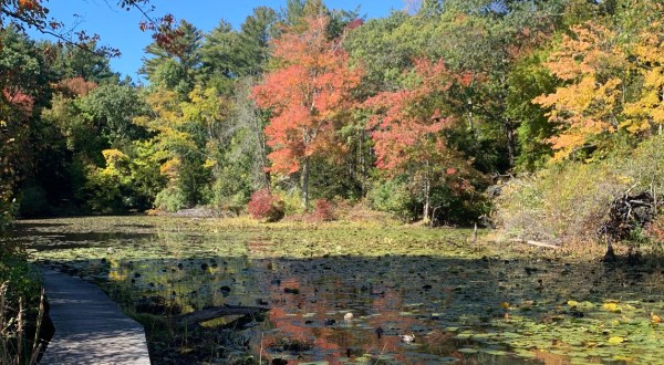 This Short Wildlife Sanctuary Trail Might Just Be The Most Enchanting Hike In Massachusetts