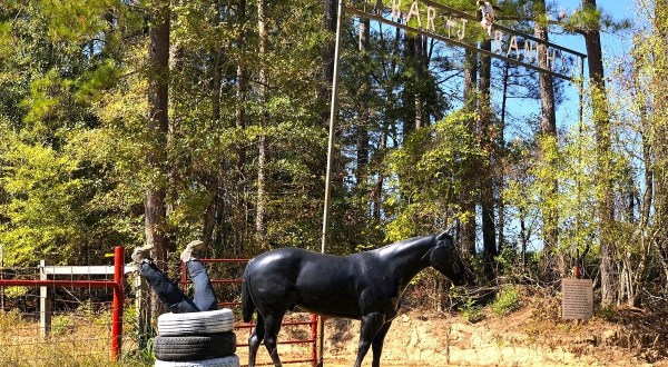 Experience The ‘Old West’ At One Of Arkansas’ Best Horse Ranches