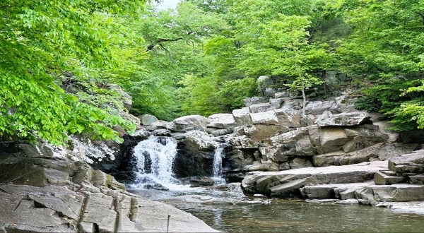 The Easy Trail That Might As Well Be The Waterfall And Wildflower Capital Of Virginia