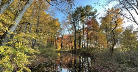 The Easy Trail That Might As Well Be The Nature Capital Of Massachusetts