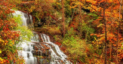 Here Are The Best Times And Places To View South Carolina's Fall Foliage In 2023